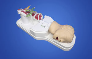 modello anatomico piloro