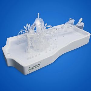 modello anatomico arteria polmonare 1