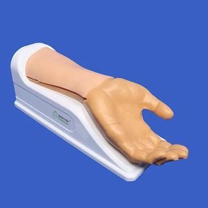 modello vascolare per arteria radiale 1
