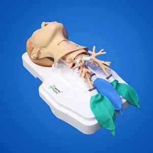 manichino didattico per cure cardiopolmonari 1