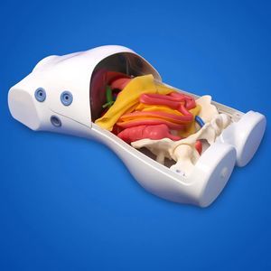 simulatore per laparoscopia