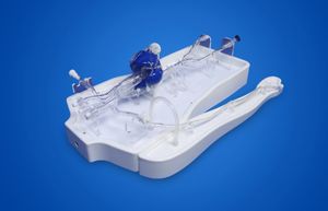 modello vascolare di cuore