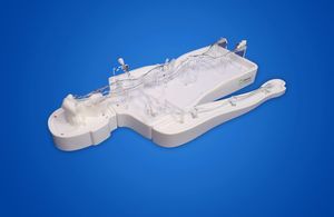 modello vascolare di cervello