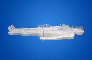 modello vascolare di corpo intero 1