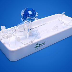 modello vascolare di arterie coronarie 1