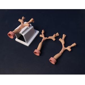modulo di simulazione per procedure pneumologiche