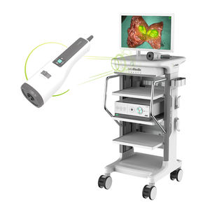 colonna endoscopica per endoscopia in fluorescenza