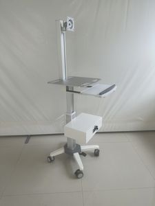carrello informatico