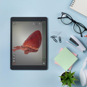 simulatore per cardiochirurgia