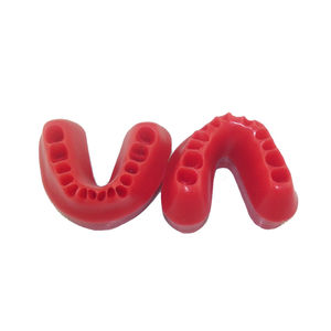 modello anatomico gengivale 1