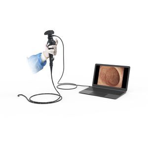 broncoscopio veterinario video