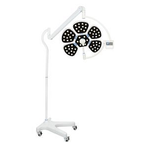 lampada scialitica a soffitto 1