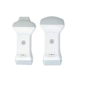 sonda ecografica convessa 1