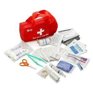 kit di emergenza 1