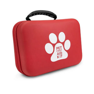 kit di emergenza 1