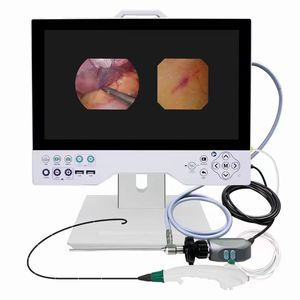 videocamera endoscopica