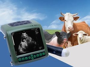 ecografo veterinario portatile