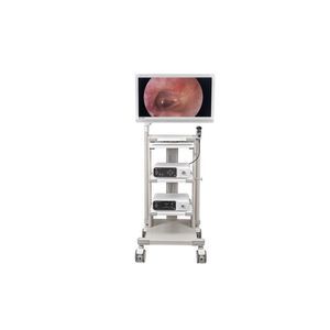 colonna endoscopica per chirurgia ginecologica endoscopica 1