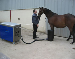 spa per animali per equini 1