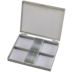 vetrino per microscopio 1
