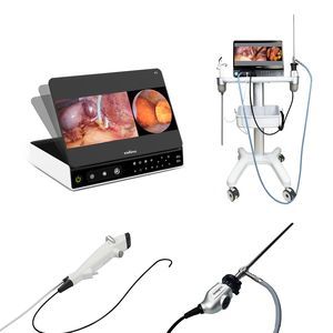 videoprocessore per endoscopia