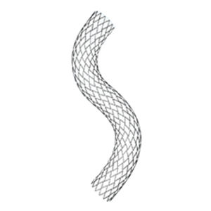 stent arteria iliaca