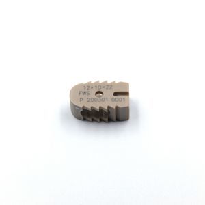gabbia intersomatica lombare 1