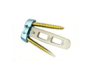 gabbia intersomatica cervicale 1