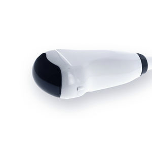 sonda ecografica concava