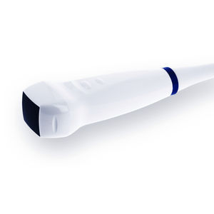 sonda ecografica phased array