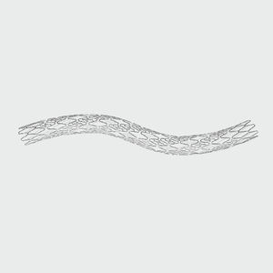 stent coronarico 1