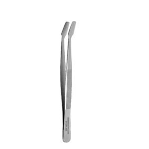 pinza dentale 1
