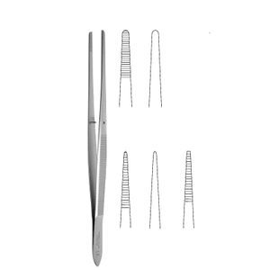 pinza dentale 1