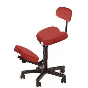sedia con rotelle 1