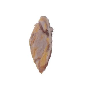 modello anatomico di seno
