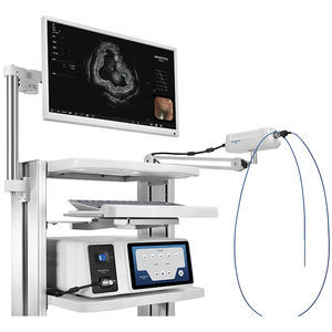 sistema di imaging endoscopico EUS