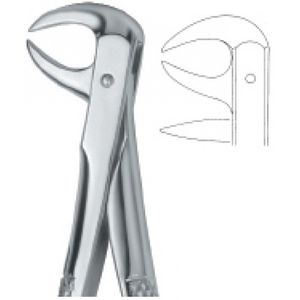 pinza per estrazione denti per molari 1