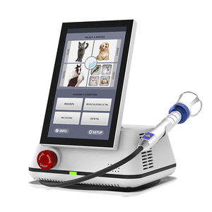 laser veterinario per chirurgia veterinaria