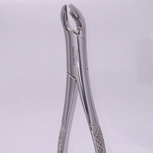 pinza per estrazione di radici dentali 1