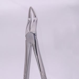 pinza per estrazione denti per radici dentali 1