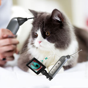 otoscopio veterinario video