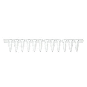microtubo per PCR