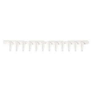 microtubo per PCR 1