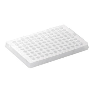 micropiastra per PCR 1