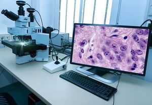 sistema di gestione di dati