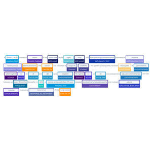 software medico 1