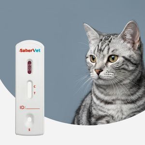 test rapido della leucosi felina 1