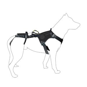 imbracatura veterinaria 1