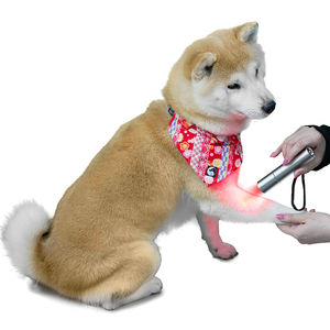 laser per fotostimolazione veterinaria per animali domestici