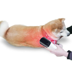 laser per fotostimolazione veterinaria